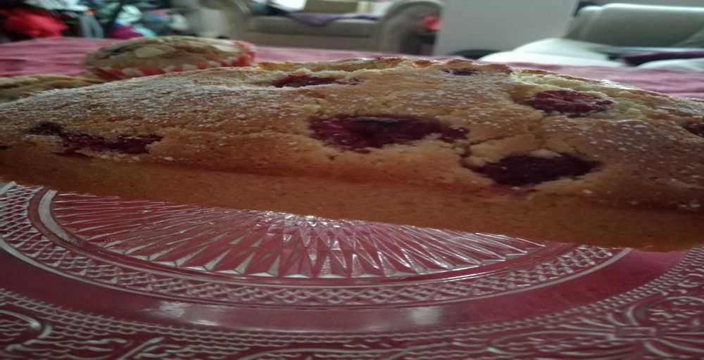 Coconut & Raspberry Loaf (low carbohydrate)